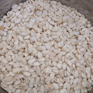 Karbuj Seeds