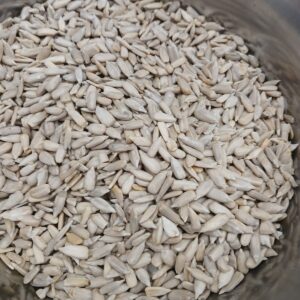 Tarbuj Seeds